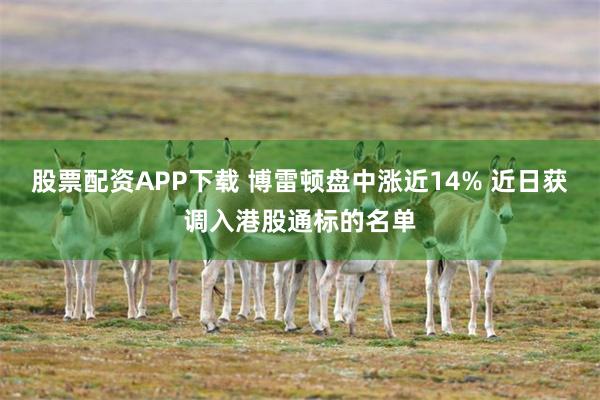 股票配资APP下载 博雷顿盘中涨近14% 近日获调入港股通标的名单