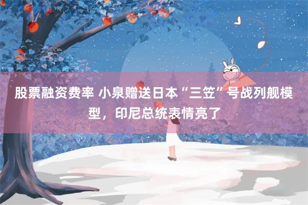 股票融资费率 小泉赠送日本“三笠”号战列舰模型，印尼总统表情亮了