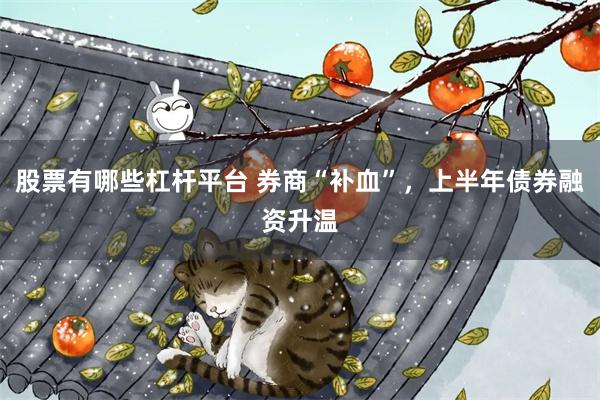 股票有哪些杠杆平台 券商“补血”，上半年债券融资升温